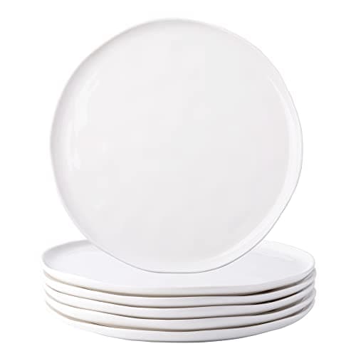 Dinner Plates,10.5 inch Ceramic Plates Set of 6