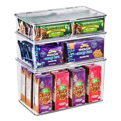 3 Pack Clear Plastic Storage Bins with Lids